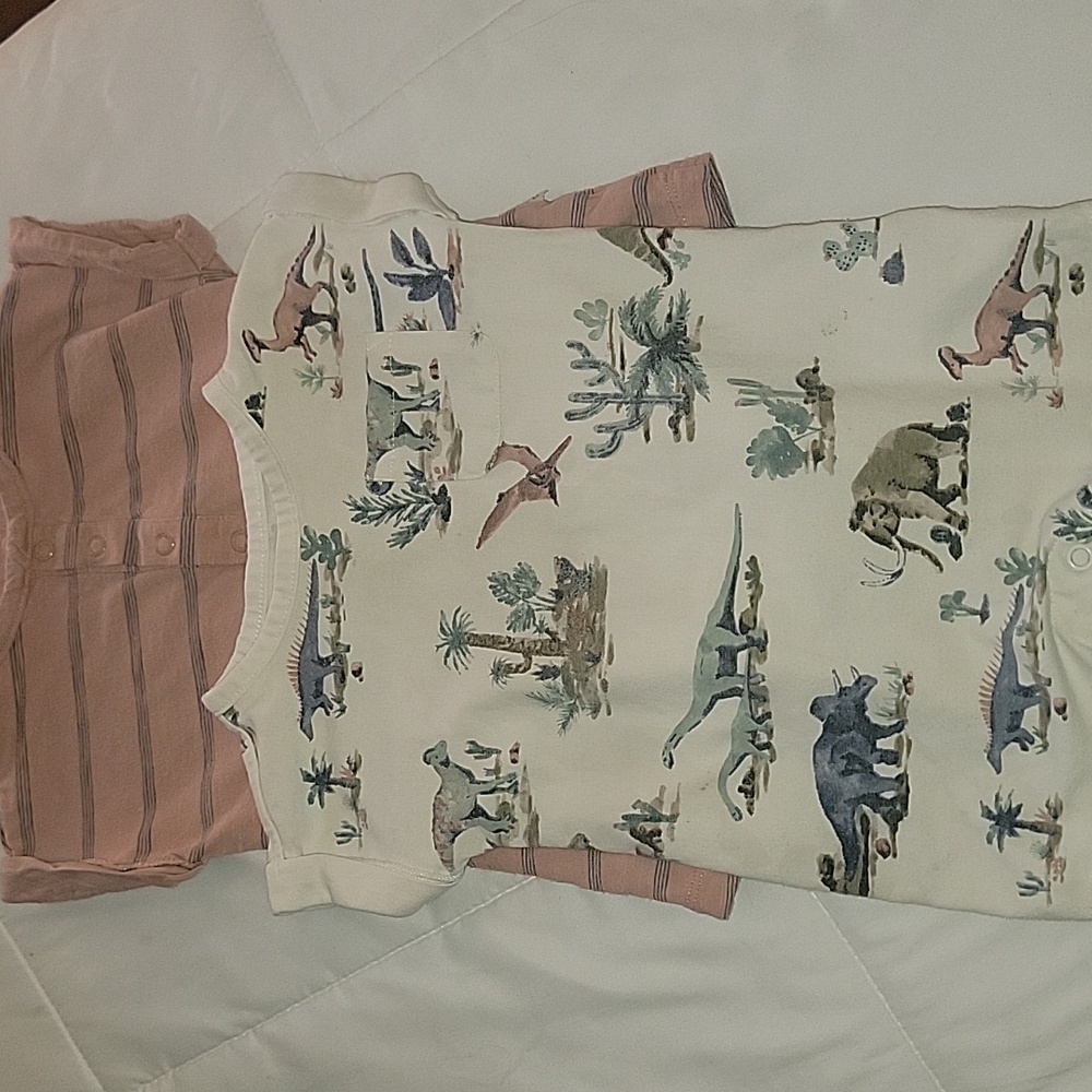 Organic cotton baby bodysuits